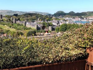 Photo 11- click for photo gallery